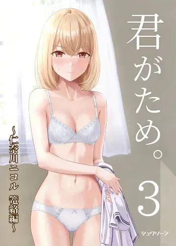 Kimi ga Tame. 3 ~Ninagawa Nicole Rouraku Hen~ manga cover