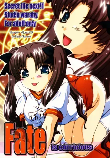 (C67) [Studio Wallaby (Takana Yu-ki)] SECRET FILE NEXT 11 - Fate is capricious (Fate/stay night) [Russian] [Witcher000] manga cover