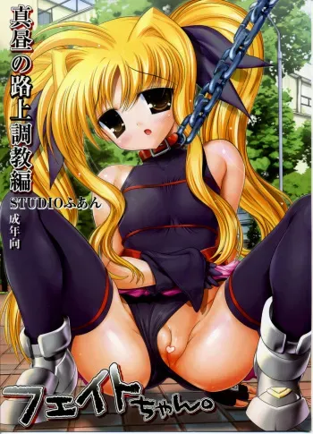 (SC36) [STUDIO HUAN (Raidon)] Fate-chan. Mahiru no Rojou Choukyou Hen (Mahou Shoujo Lyrical Nanoha) manga cover