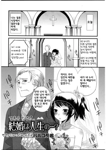 [Palco Nagashima] Kekkon wa Jinsei no......? (Otokonoko wa Itsudemo Moteki 2) [Korean] manga cover