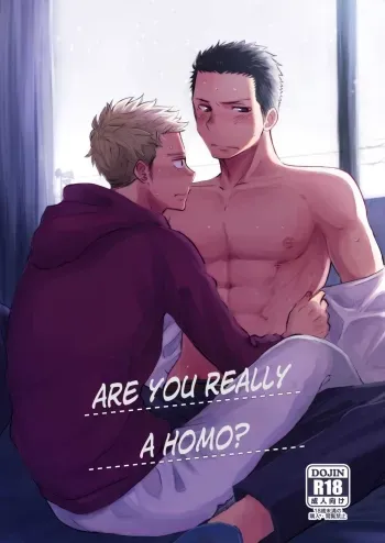 Honto ni Homo na no? manga cover