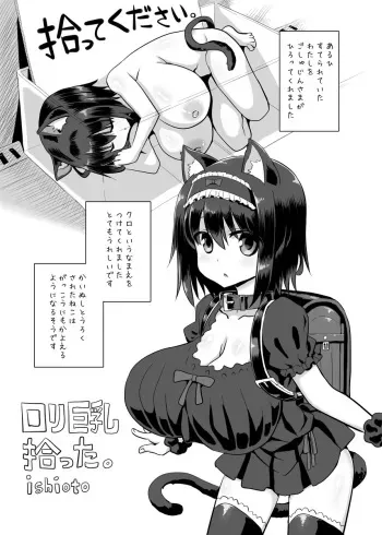 [Ishioto] Loli Kyonyuu Hirotta. manga cover