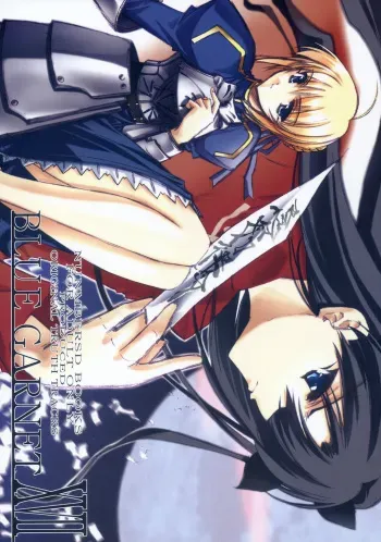 (C66) [BLUE GARNET (Serizawa Katsumi)] BLUE GARNET XVII (Fate/stay night) manga cover