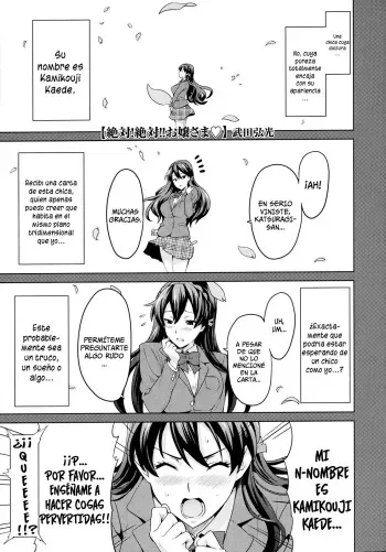 [Takeda Hiromitsu] Zettai! Zettai!! Ojou-sama | ¡Absolutamente! ¡¡Absolutamente!! Una Ojou-sama (COMIC Megastore 2009-09) [Spanish] =P666HF= [Decensored] manga cover