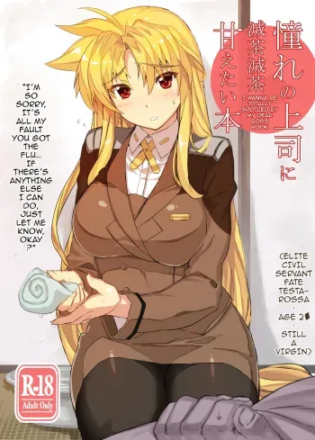 Akogare no Joushi ni Mechamecha Amaetai Hon | I Wanna be Totally Spoiled by My Dear Boss Book manga cover