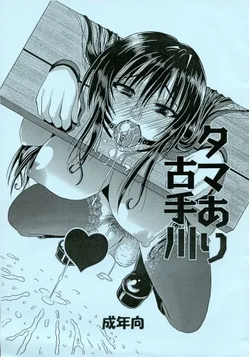 (Futaket 12) [Gyoutenriki (Futomaki Tamamo.)] Tama Ari Kotegawa (To LOVE-Ru) manga cover