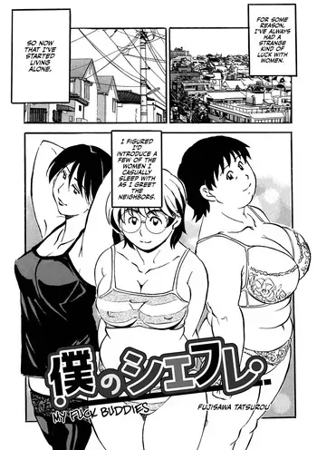 [Fujisawa Tatsurou] Boku no Shefure manga cover