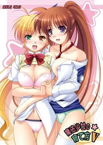 [K-Drive (Narutaki Shin)] Mahou Shoujo no Sodatekata V (Mahou Shoujo Lyrical Nanoha) [Digital] manga cover