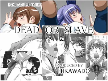 [Hikawadou (Hinokawa Jun)] Dead or Slave (Dead or Alive) manga cover