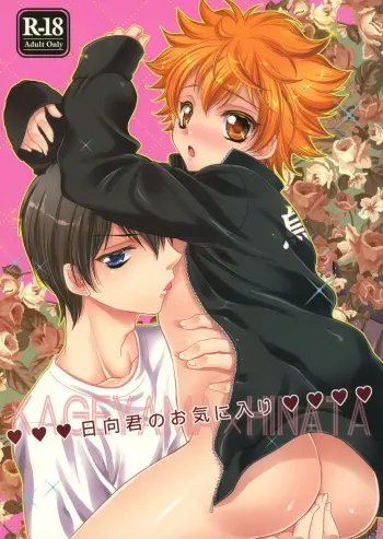 (C87) [Lovesugi (Fukai Maro)] Hinata-kun no Okiniiri (Haikyuu!!) manga cover