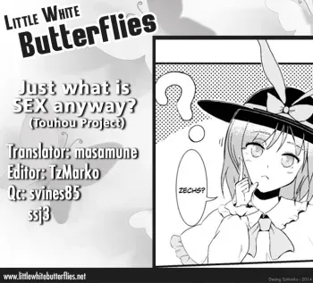 [Itsuki] Just What Is Sex Anyway? (Touhou Project) [English] =Little White Butterflies= manga cover