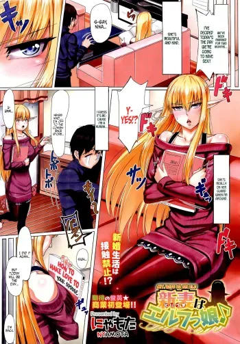 My Wife Is an Elf manga cover