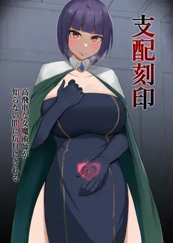Shihai Kokuin Takabisha na Onna Majutsushi ga Shiranai Aida ni Omocha ni Sareru manga cover