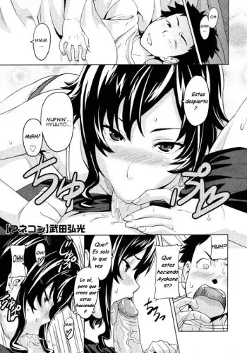 [Takeda Hiromitsu] Anekon | Al cuidado de mis Hermanastras (COMIC Megastore H 2008-03) [Spanish] {Varkatzas666} manga cover