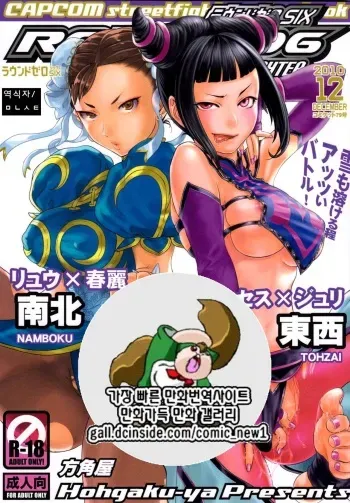 (C79) [Hougakuya (Nanboku, Tohzai)] ROUND 06 (Street Fighter) [Korean] [팀 만갤] manga cover