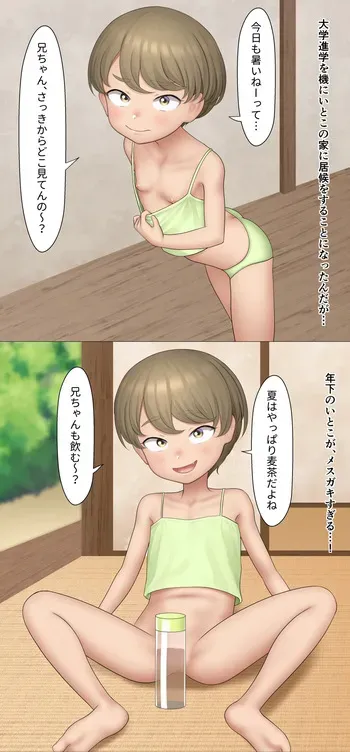 [SC Naru] Inaka no Itoko manga cover