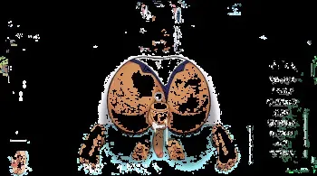 Mirko, Megurien Luka, Mercy Power Glory Hole Bondage Creampie (Hole House Game) [Chainsaw Man, My Hero Academia,Overwatch, Vocaloids] manga cover