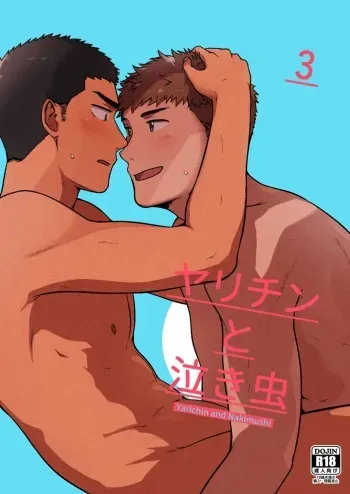 Yarichin to Nakimushi 3 manga cover