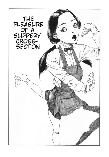 Shintaro Kago - The pleasure of a slippery cross-section manga cover