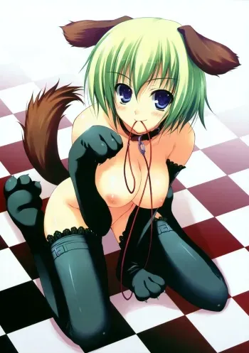 Pet Girls (humiliated slaves) manga cover