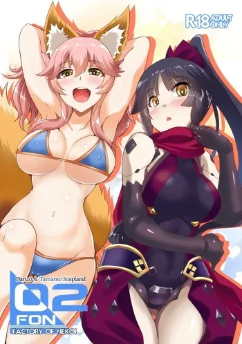 FACTORY OF NEKOI 02 Danzou to Tamamo no Soapland manga cover