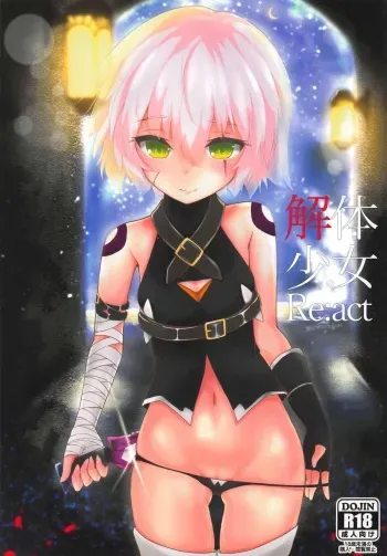 (COMIC1☆13) [Jukai Shoko (Fujimi Gaku)] Kaitai Shoujo Re:act (Fate/Grand Order) manga cover