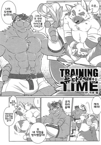 (Kemoket 4) [TFWS (Takemoto Arashi)] Kurohyou Senpai no Training Time | 퓨마/흑표 선배의 트레이닝 타임 (Furry Suplex 2) [Korean] manga cover