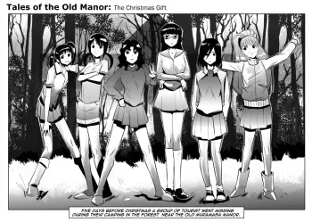 [tiger2drawn] Tales of the Old Mansion - The Christmas Gift manga cover