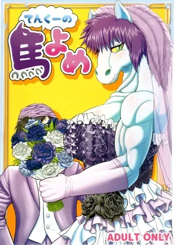 (Kansai! Kemoket 5) [Seiitsukyou (Goto-Beido)] Tenkuu no Uma Yome (Dragon Quest V) manga cover