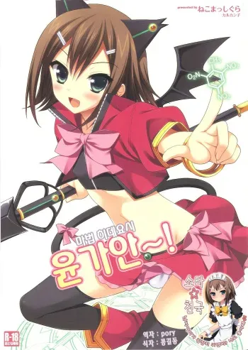 (C80) [Neko Masshigura (Karukanko)] Mahou Hideyoshi Rinkan! | Magical Hideyoshi Gang Rape! (Baka to Test to Shoukanjuu) (korean) manga cover