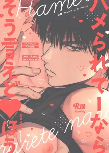 [SHINOZ! (Kyoko Shinozaki)] Hamerarete nara soie doaho (Slam Dunk) manga cover