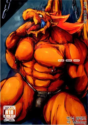 (Kansai! Kemoket 4) [Aotokage (toka)] --- (Breath of Fire III) [Korean] manga cover