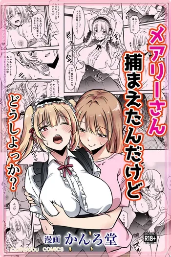 メアリーさん捕まえたんだけどどうしよっか？ manga cover