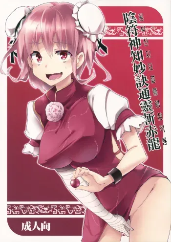 (Reitaisai 10) [Gyokotsu Kouzou (Kapo)] Infu Shinchi Myouketsu Tsuurei Zansekiryuu (Touhou Project) [Korean] manga cover