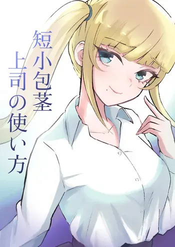 [Roki] Tanshou Houkei Joushi no Tsukaikata manga cover