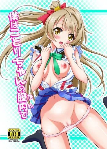 [GUST (Harukaze Soyogu)] Boku wa Kotori-chan no Naka de (Love Live!) [English] [Digital] manga cover