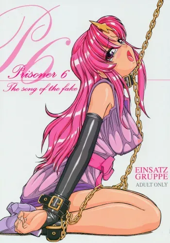(C68) [EINSATZ GRUPPE (Charlie Nishinaka)] PRISONER 6 The song of the fake (Mobile Suit Gundam SEED Destiny) manga cover