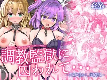 [Memeris Channel (Aoiro 3-gou)] Choukyou Kangoku ni Torawarete... Seiki o Tokashi, Juuzoku Ochi [Digital] (SCANMTL) manga cover