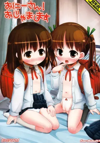 (COMIC1☆6) [Triple Pinch! (Hikami Izuto)] Onii-san! Ojamashimasu manga cover