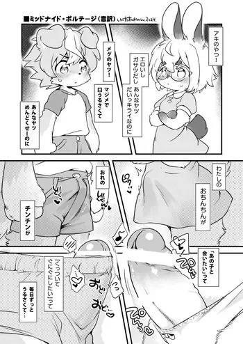 (Kemoket 15) [Ikuta Takanon] Midnight Voltage [Digital] manga cover
