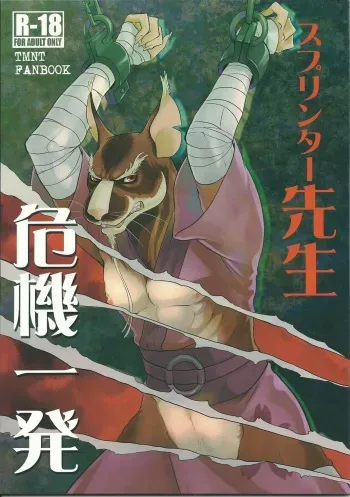 (Fur-st 8) [INK (Kreuz, Kandagawa Gufu)] Splinter-sensei Kiki-ippatsu (Teenage Mutant Ninja Turtles) manga cover