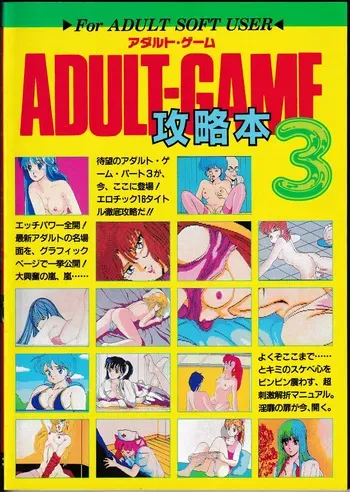Adult-Game Kouryakubon 3 manga cover