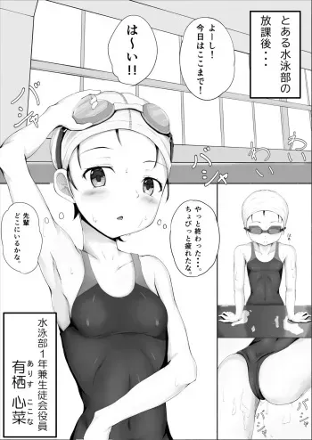 [Fuurin] Seitokai no Himitsu ~Suieibu Hen~ manga cover