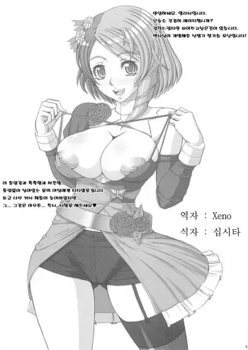 (C76) [Angel Ravishment. (jet)] First RAGE (Tekken) [Korean] [Incomplete] manga cover