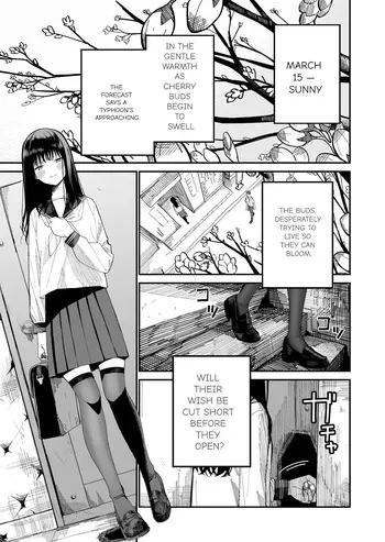 [Mameroku] Mr. Kimura's observation diary manga cover
