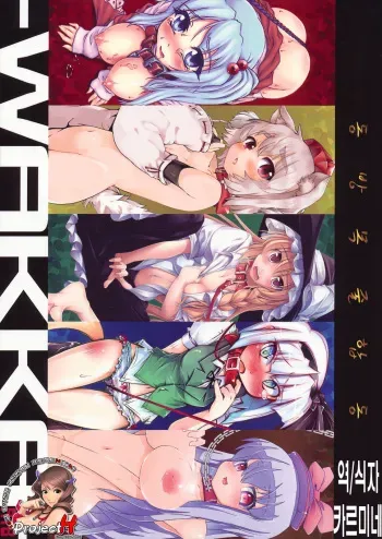 (C79) [Narumiya (Narumiya, Satetsu, Soine) Touhou Kubiwa Goudou -WAKKA- (Touhou Project) (Korean) manga cover