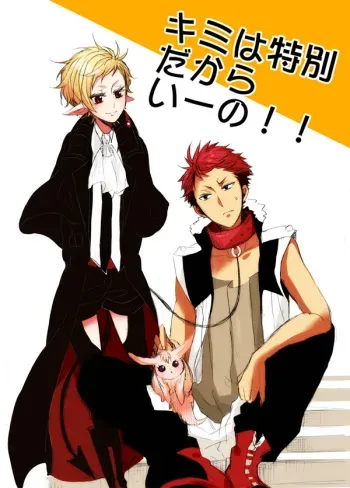[Udon] Kimi wa Tokubetsu Dakara Ii no!! manga cover