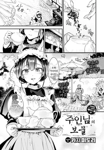 [Kaza Midori] Goshujin-sama no Takaramono | 주인님의 보물 (COMIC BAVEL 2024-11) [Korean] [Decensored] manga cover