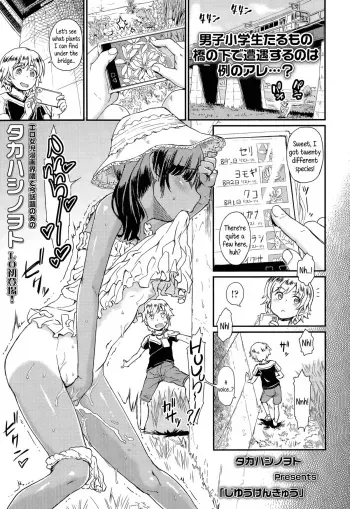 [Takahashi Note] Jiyuukenkyuu | Independent Research (COMIC LO 2015-11) [English] {5 a.m.} manga cover