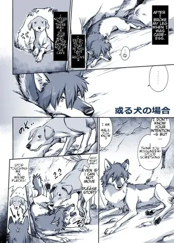 [Souko Souji] Aru Inu no Baai | A certain dog's situation (Ookami Kodomo no Ame to Yuki) [English] [alphya04] manga cover